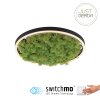 JUST LIGHT GERDA RITUS Ceiling Light LED black, 1-light source