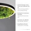 JUST LIGHT GERDA RITUS Ceiling Light LED black, 1-light source