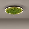JUST LIGHT GERDA RITUS Ceiling Light LED black, 1-light source