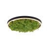 JUST LIGHT GERDA RITUS Ceiling Light LED black, 1-light source