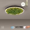Leuchten-Direkt GREEN RITUS Ceiling Light LED black, 1-light source