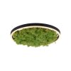 Leuchten-Direkt GREEN RITUS Ceiling Light LED black, 1-light source