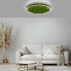 JUST LIGHT GERDA RITUS Ceiling Light LED black, 1-light source