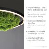 JUST LIGHT GERDA RITUS Ceiling Light LED black, 1-light source