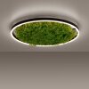 JUST LIGHT GERDA RITUS Ceiling Light LED black, 1-light source