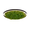 JUST LIGHT GERDA RITUS Ceiling Light LED black, 1-light source