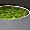 JUST LIGHT GERDA RITUS Ceiling Light LED black, 1-light source