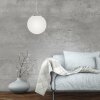 Paul Neuhaus BOLO Pendant Light silver, 1-light source