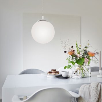 Paul Neuhaus BOLO Pendant Light silver, 1-light source