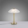 Paul Neuhaus ENOVA Table lamp LED brass, 1-light source