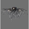 Paul Neuhaus ICICLE Ceiling Light black, 4-light sources