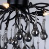 Paul Neuhaus ICICLE Ceiling Light black, 4-light sources