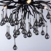 Paul Neuhaus ICICLE Ceiling Light black, 4-light sources