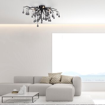 Paul Neuhaus ICICLE Ceiling Light black, 4-light sources