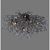 Paul Neuhaus ICICLE Ceiling Light black, 14-light sources