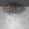 Paul Neuhaus ICICLE Ceiling Light black, 14-light sources