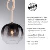 Paul Neuhaus LUMA Pendant Light black, 1-light source