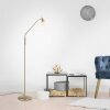 Paul Neuhaus PINO Floor Lamp LED brass, 1-light source