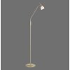Paul Neuhaus PINO Floor Lamp LED brass, 1-light source