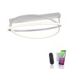 Paul Neuhaus Q-BELUGA Ceiling Light LED silver, 1-light source, Remote control