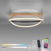 Paul Neuhaus Q-BELUGA Ceiling Light LED gold, 1-light source, Remote control