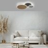 Paul Neuhaus Q-PIATO Ceiling Light LED white, 1-light source, Remote control