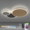 Paul Neuhaus Q-PIATO Ceiling Light LED white, 1-light source, Remote control