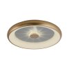 Leuchten-Direkt VERTIGO Ceiling Light LED gold, 1-light source, Remote control