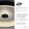 Leuchten-Direkt VERTIGO Ceiling Light LED black, 1-light source, Remote control