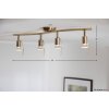 EGLO ceiling spotlight gold, brass, white