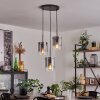 PARANE Pendant Light - glass clear, Smoke-coloured, 3-light sources