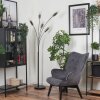 CAIMITTE Floor Lamp black, 5-light sources