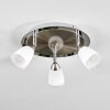 HOLUALOA Ceiling Light LED matt nickel, 3-light sources