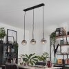 GASTOR Pendant Light - glass clear, Smoke-coloured, 3-light sources