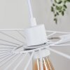 CACOR Pendant Light white, 1-light source