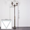 NAOFE Lamp Post gold, black, 2-light sources