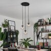 GASTOR Pendant Light - glass clear, 3-light sources