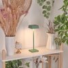 ALGERAZ Table lamp LED green, 1-light source