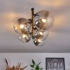 CHEHALIS Ceiling Light clear, Smoke-coloured, 5-light sources