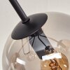 GASTOR Ceiling Light - glass Amber, Smoke-coloured, 5-light sources