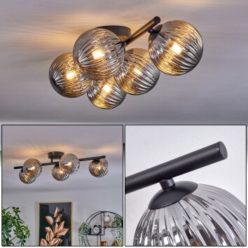 CHEHALIS Ceiling Light Smoke-coloured, 5-light sources