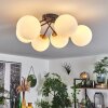CHEHALIS Ceiling Light gold, black, 6-light sources
