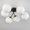 CHEHALIS Ceiling Light gold, black, 6-light sources