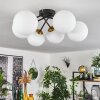 CHEHALIS Ceiling Light gold, black, 6-light sources