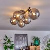 CHEHALIS Ceiling Light Smoke-coloured, 5-light sources
