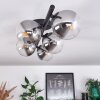 CHEHALIS Ceiling Light clear, Smoke-coloured, 5-light sources