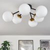 CHEHALIS Ceiling Light gold, black, 6-light sources