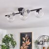 CHEHALIS Ceiling Light - glass clear, 5-light sources