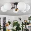 CHEHALIS Ceiling Light gold, black, 6-light sources