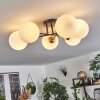 CHEHALIS Ceiling Light gold, black, 6-light sources